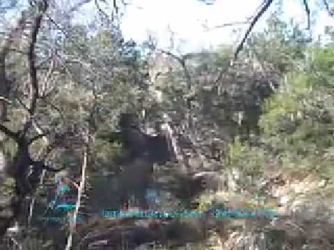 DALLAS PLASTIC SURGEON ZIP LINES WITH EO FORUM IN AUSTIN, TX